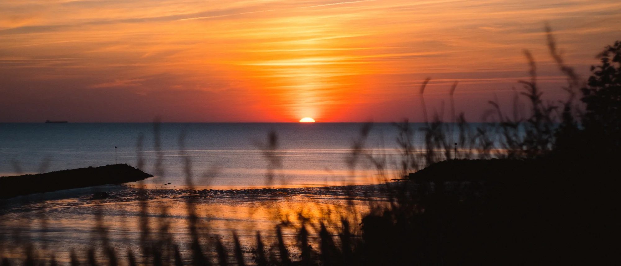 Coucher de soleil sur la mer, herbes en silhouette au premier plan