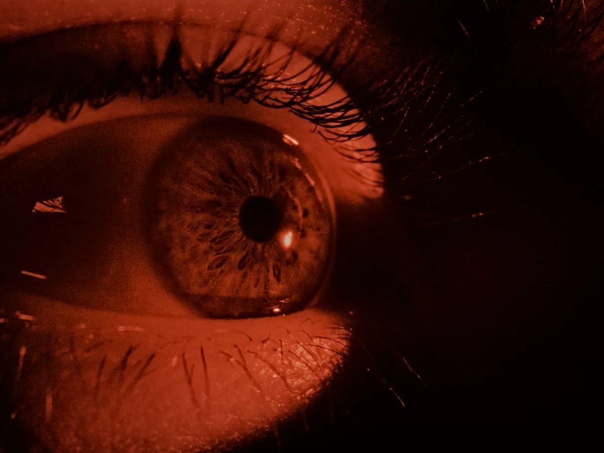 Un regard saisi au plus près, dans une lumière ambrée